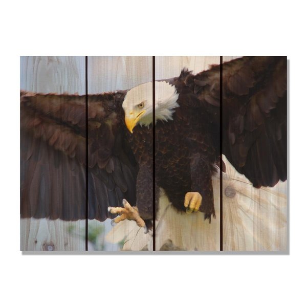 Rickis Rugs 22 x 16 in. Bald Eagle Inside & Outside Cedar Wall Art RI2564460